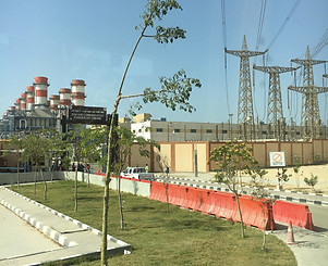 IMG-9209.JPG
