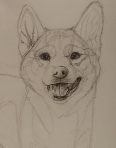 shibe_edited.jpg