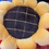 Thumbnail: Bed and Breakfast Cushion Small Daisy Petal Cushion