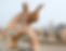 ChatGPT Image Aug 17, 2025, 04_11_06 PM_edited.jpg