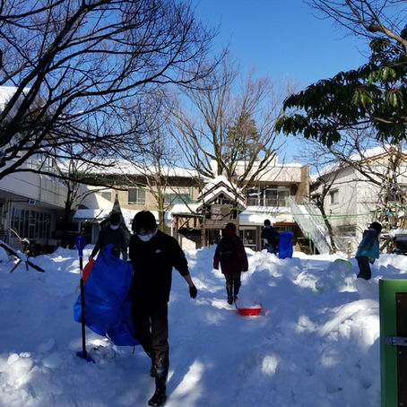 今月（１月）の木の花っ子のつぶやき＆木の花あるあるコーナー
