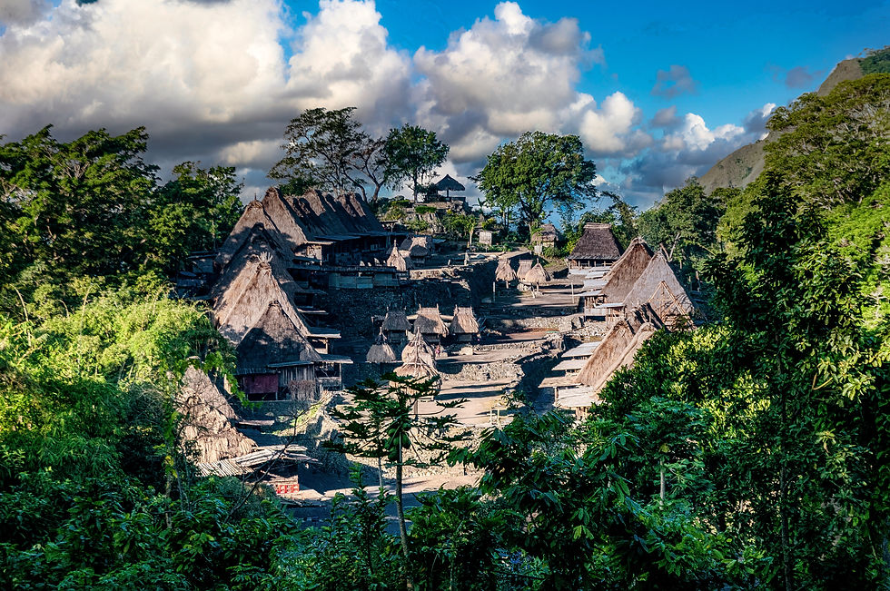 Highlights and photo locations in Flores, Indonesia: Bena Village © 2012 Aaron Matzinger