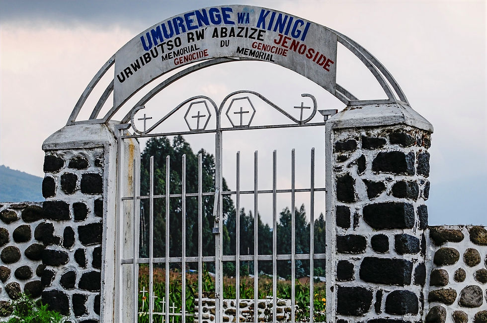 Highlights and best safari destination in Africa - Volcanoes National Park - Virunga Mountains, Ruanda © 2021 Aaron Matzinger