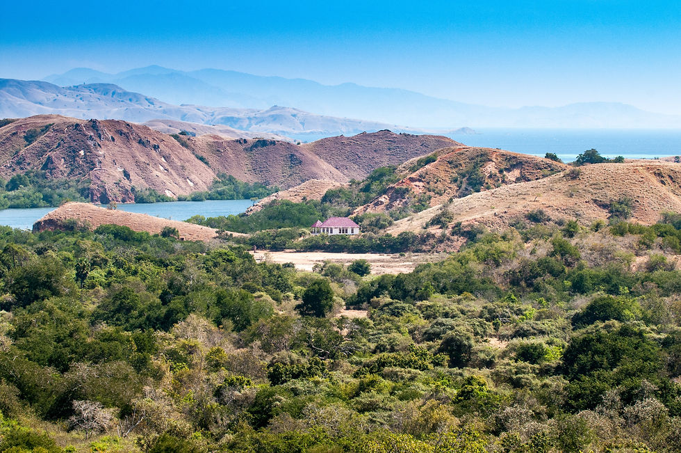 Highlights and photo locations in Flores, Indonesia: Komodo © 2012 Aaron Matzinger
