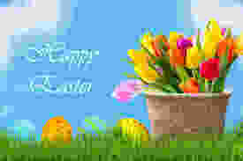 Easter tulips