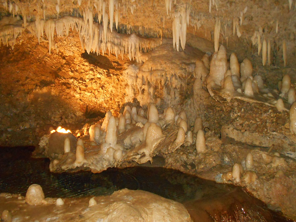 DSCN0962.JPG