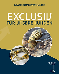 CruiseCharm Lanyard.png
