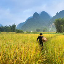 Engineering Process: Early Detection and Prevention of Methane Formation in Paddy Farms Using IoT
