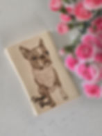 thumbnail_20250320_112346