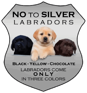 Say No to Silver Labs