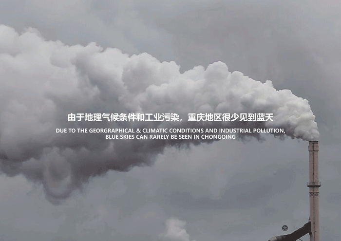 2021-04-27_Article-12-gif.gif