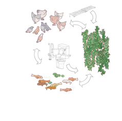 Upload_diagram_ecology.png