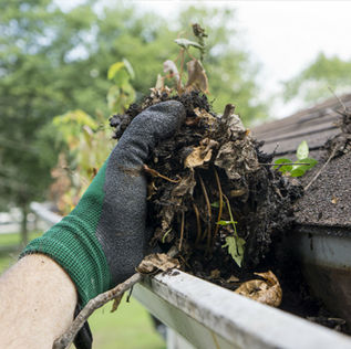 A gloved hand pulling out debris, moss, and leaves overflowing from a roof gutter