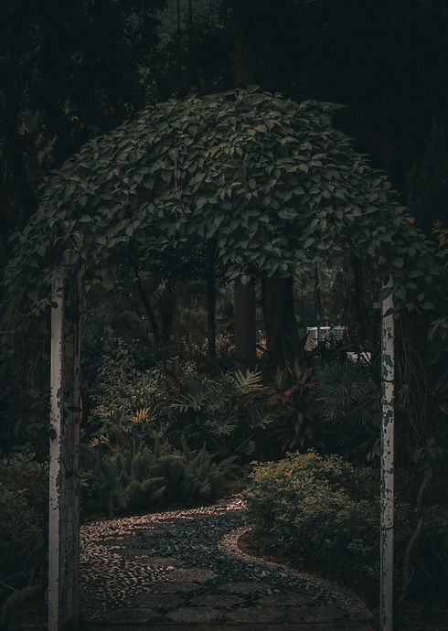 pexels-cleocindy-ruz-325931096-13789131.jpg