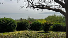 IMG_7822.jpeg
