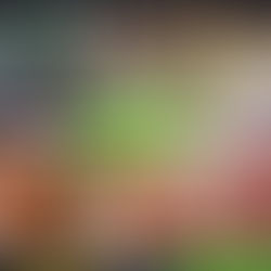 Why Are Northeastern Chinese Everywhere in the Southwestern Tourist Hotspot of Xishuangbanna?