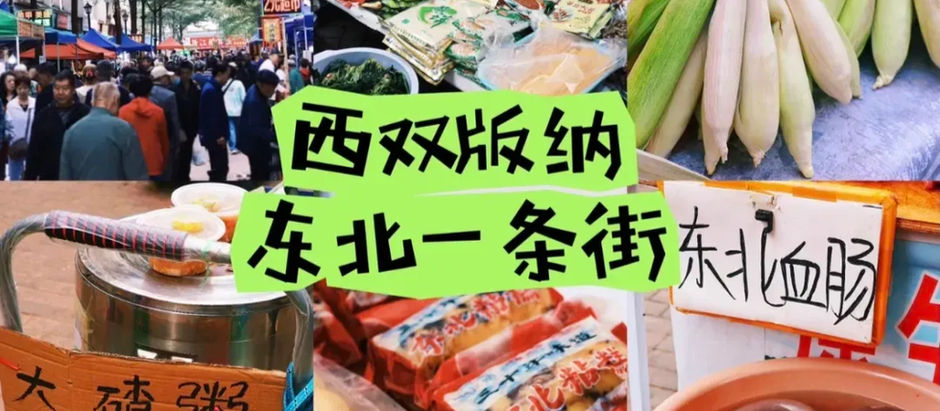 Why Are Northeastern Chinese Everywhere in the Southwestern Tourist Hotspot of Xishuangbanna?