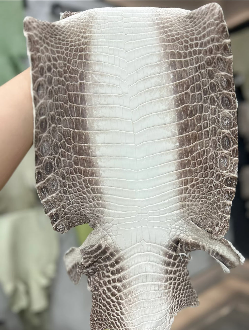 Miniature : Alligator Bag Leather For Craft Bag,Soft Luxury Black Alligator Hide Skin