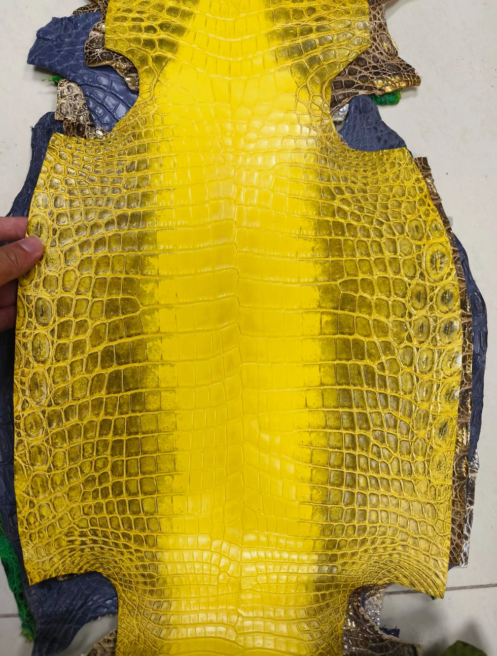 縮圖：Exotic Alligator Leather For Craft Bag,Soft Luxury Black Alligator Hide Skin