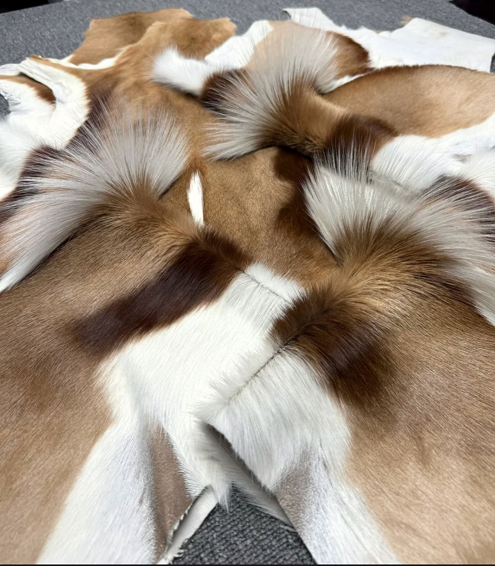 Miniatura: Real Antelope Rug, Genuine Antelope Pelt Rug