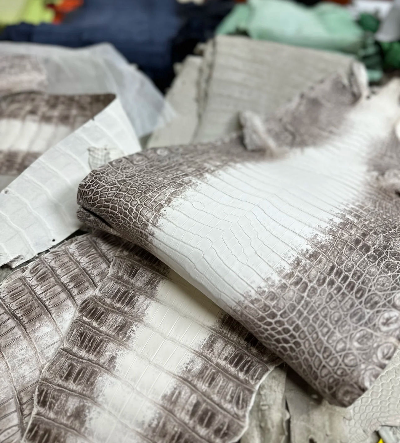 Alligator Leather For Women Bag, Soft Luxury Alligator Skin15