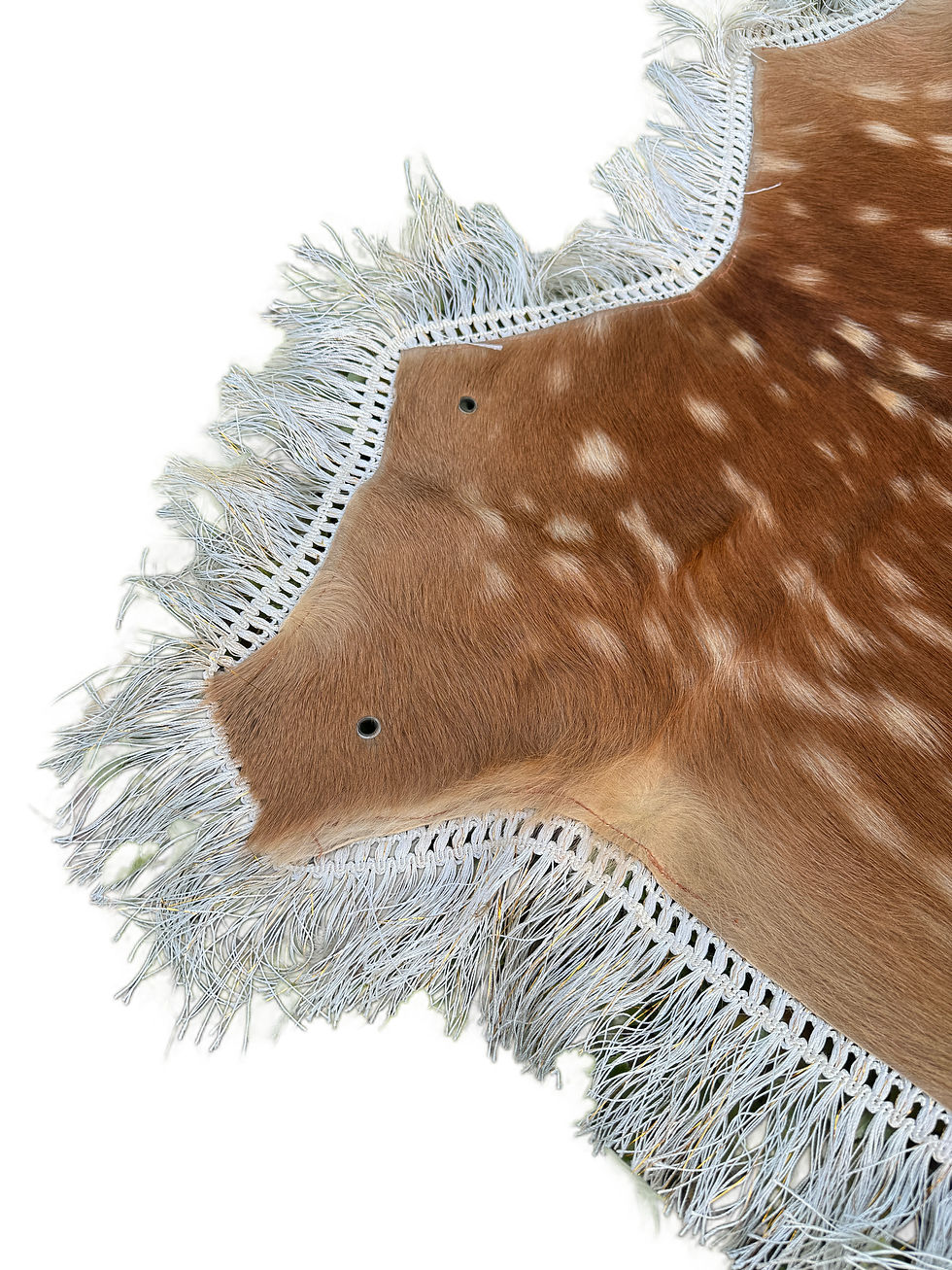 サムネイル： Axis Deer Pelt Rugs, Natural Deer Hide, Real Axis Deer Hide Rugs, Real Axis Pelt