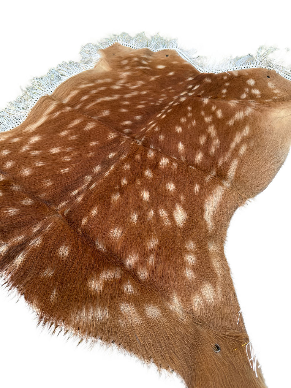 Miniaturbild: Axis Deer Pelt Rugs, Natural Deer Hide, Real Axis Deer Hide Rugs, Real Axis Pelt