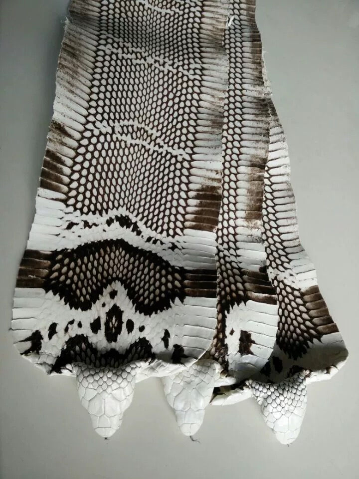 Miniatura: Natural Snake Skin, Snake Hide, Real Snake Skin, Real Snakeskin