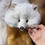 Miniature : Natural Fox Furs, Real Fox Fur Collar, Genuine Fox Fur Stole, Soft Fox Fur