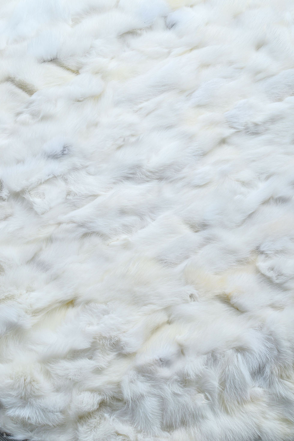 Miniatura: Natural White Fox Fur Area Rug