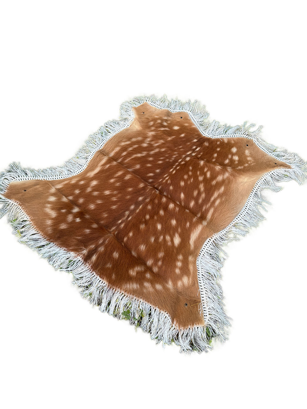 Miniaturbild: Axis Deer Pelt Rugs, Natural Deer Hide, Real Axis Deer Hide Rugs, Real Axis Pelt