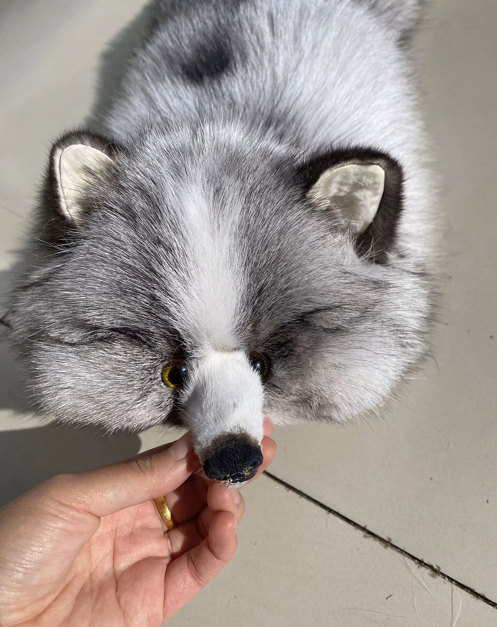 Miniature : Real Natural Fox Pelt, Genuine Fox Furs,Red Fox, Silver Fox,Blue Fox Pelt