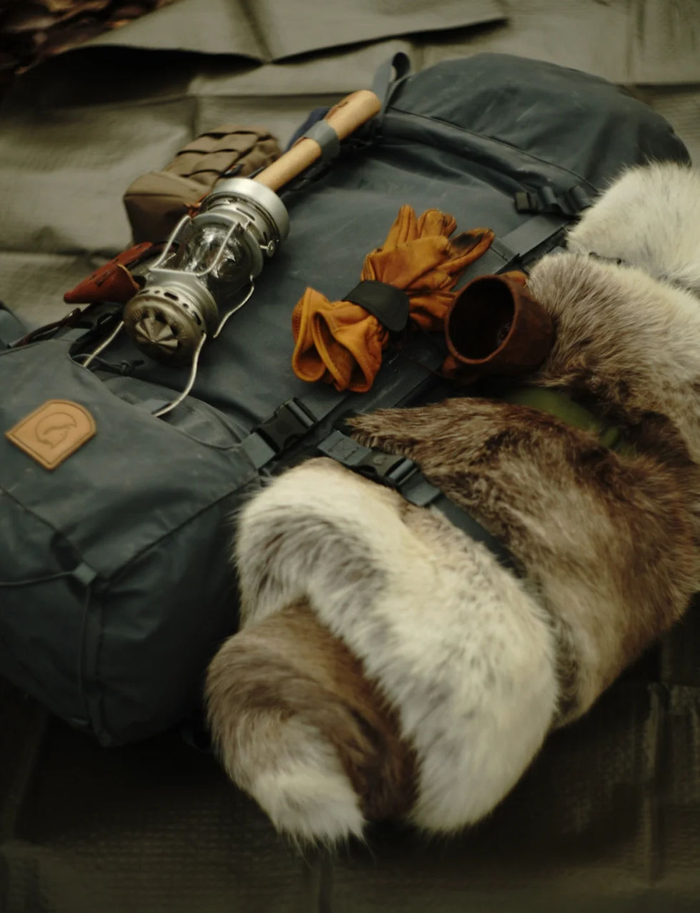 Miniatura: Reindeer Skin Hide, Real Reindeer Skin Hide, Camping Reindeer Skin Hide
