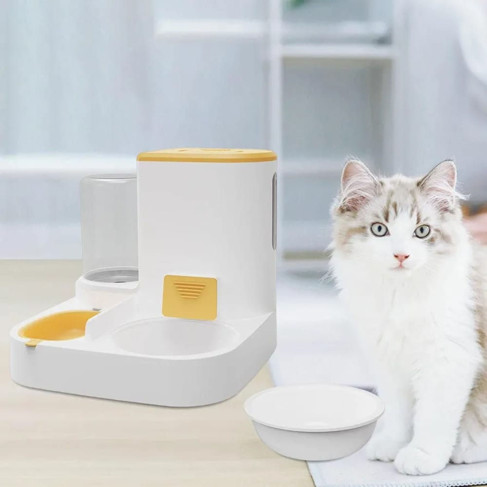 Conjunto de alimentador e bebedouro para cães e gatos