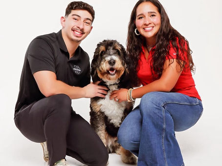 How to Choose the Right Puppy for Your Family