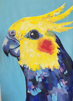 cockatiel painting for classes and workshops 