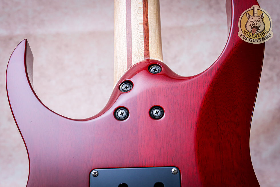 Thumbnail: IBANEZ MIJ J Custom RG Series RG8670 "Deep Red + Ebony" (2004)