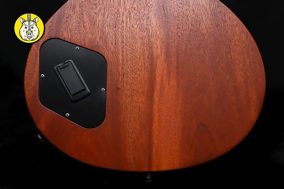 Thumbnail: GIBSON USA Signature Zakk Wylde Bullseye BFG Les Paul "Natural + Ebony" (2009)