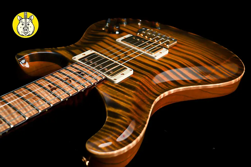 Thumbnail: PRS USA Paul Reed Smith Private stock P22 Trem #6641 - Tiger Eye Glow