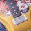 Thumbnail: PRS USA Paul Reed Smith DGT David Grissom Tremolo Signature "Gold Metallic"