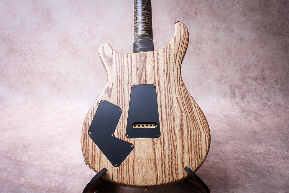 Thumbnail: PRS USA Paul Reed Smith Wood Library Modern Eagle V "Custom Colour + Rosewood"