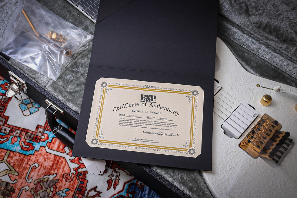 Thumbnail: ESP MIJ Original Series M-II CTM FR "Castmetal White + Ebony" (2024) @