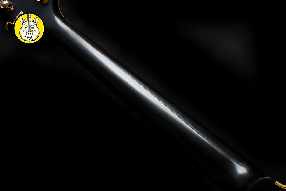 Thumbnail: GIBSON USA Custom Shop Historic ES-355 59 VOS Reissue "Ebony + Ebony" (2023)