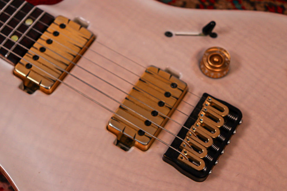 Thumbnail: MAYONES PL Custom Shop Regius Core CLS 6 "Trans White Gloss + Cocobolo" (2020)