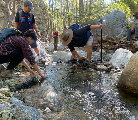 Trout Scouting information coming soon!