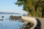 AdobeStock_30725837.jpeg