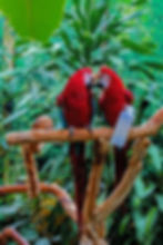 AdobeStock_520912574.jpeg