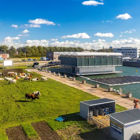 The Data-Driven Heart of a Floating Farm