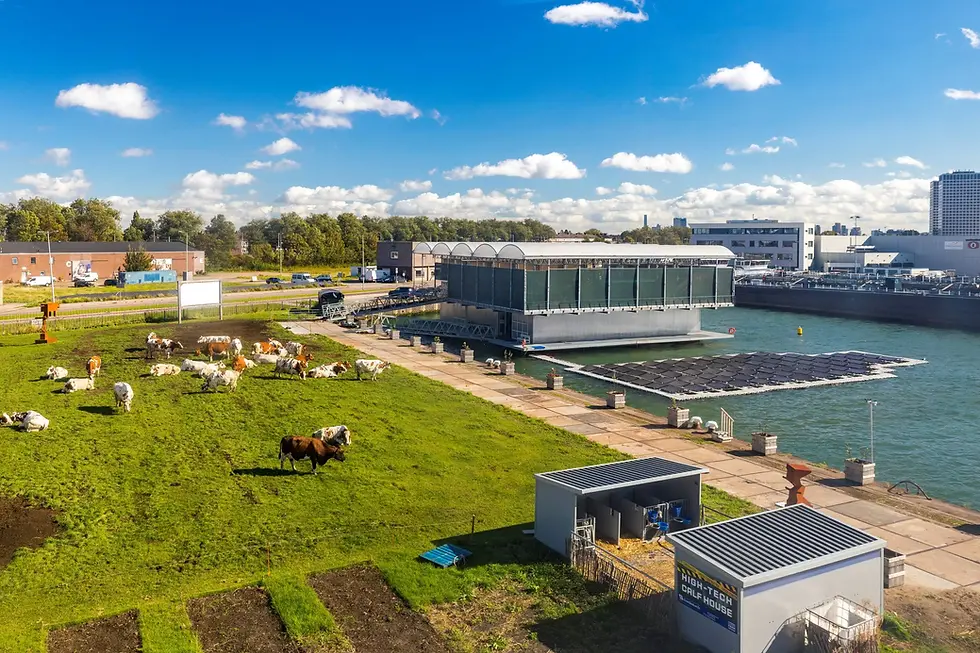 Floating-Farm_M4H_Guido-Pijper_06A9261.webp