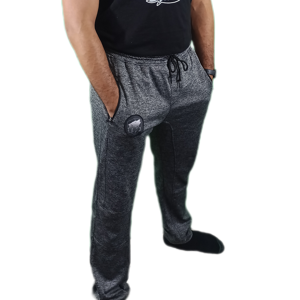 Thumbnail: UJJ Gradient Logo Joggers